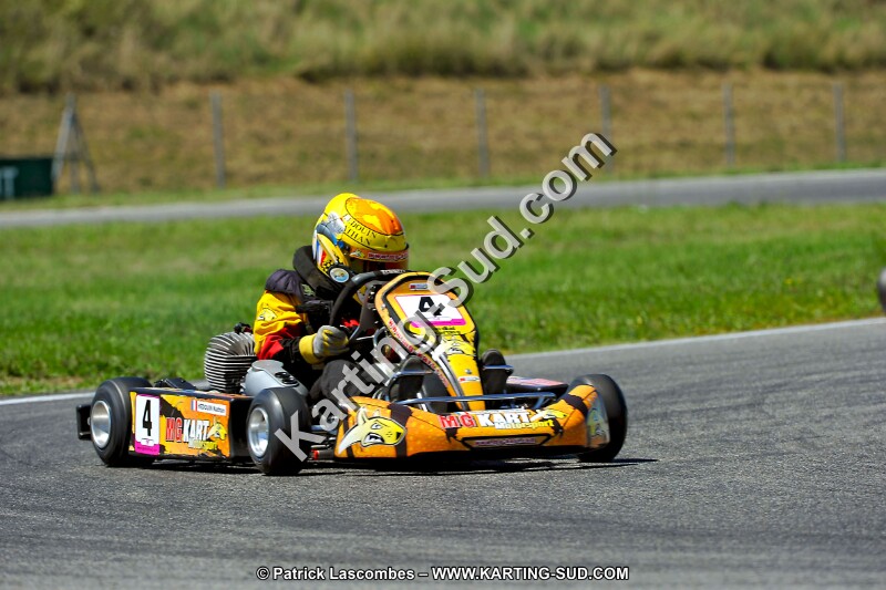 DSC_ (1509).jpg